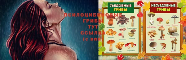 гашишное масло Инсар