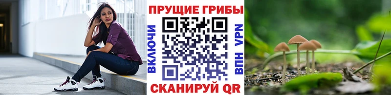 Галлюциногенные грибы мицелий Каменка
