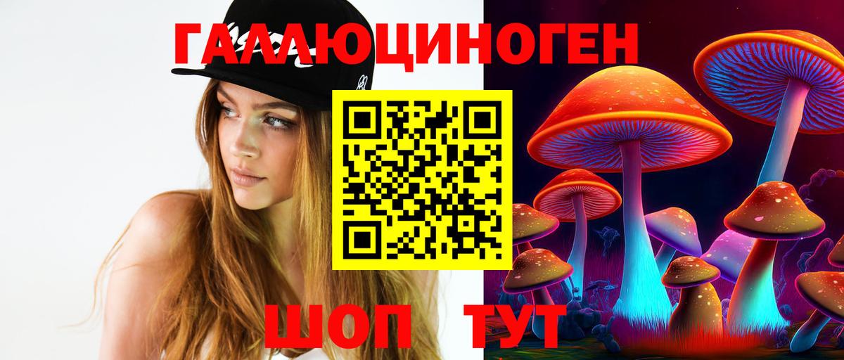 Галлюциногенные грибы MAGIC MUSHROOMS Каменка