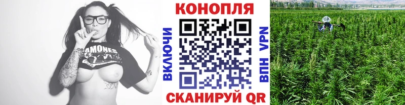 наркота  Каменка  сайты даркнета какой сайт  Бошки марихуана ГИДРОПОН 